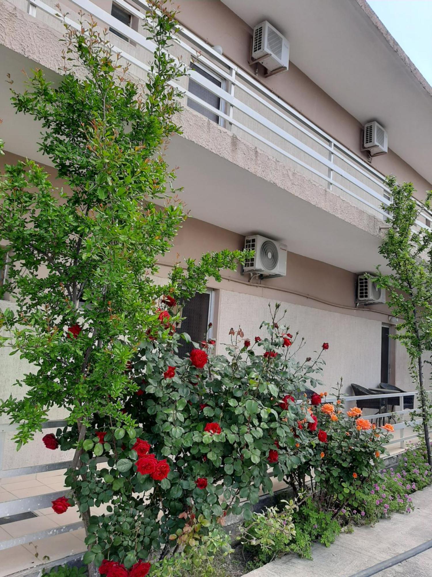 Studios Mona Agios Georgios (Istiaia-Aidipsos) Exterior foto