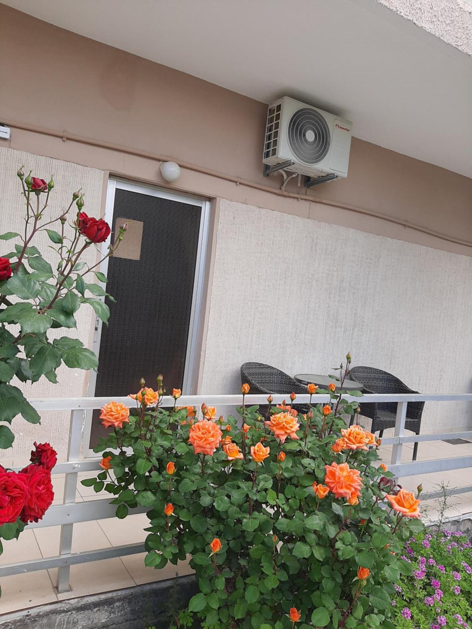 Studios Mona Agios Georgios (Istiaia-Aidipsos) Exterior foto